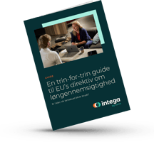 Løngennemsigtighedsguide