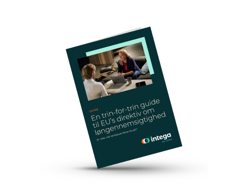 Trin for trin guide til løngennemsigtighed (2)