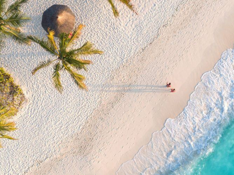 Untitled design (1)-1